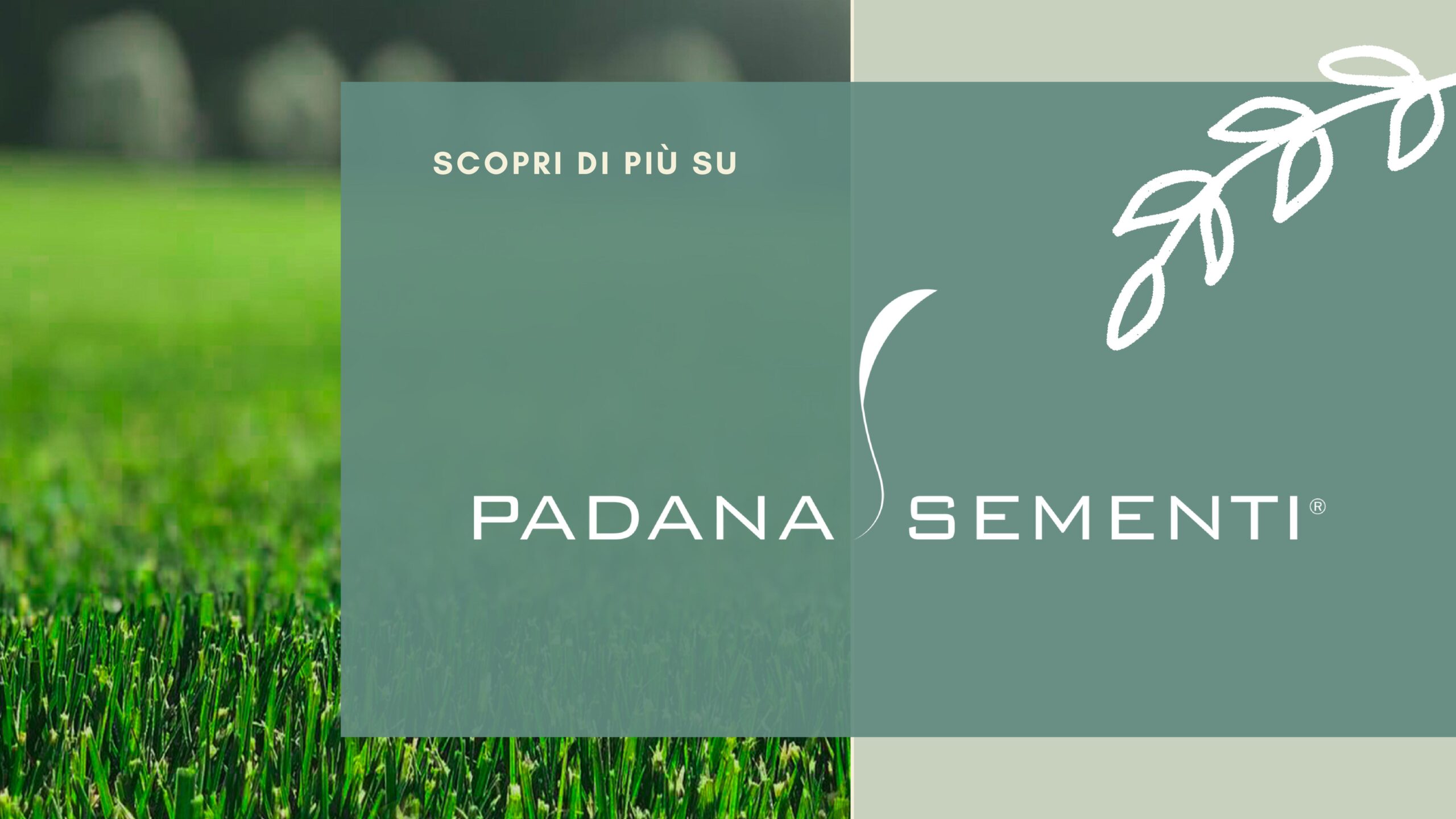 PADANA_SEMENTI_0001