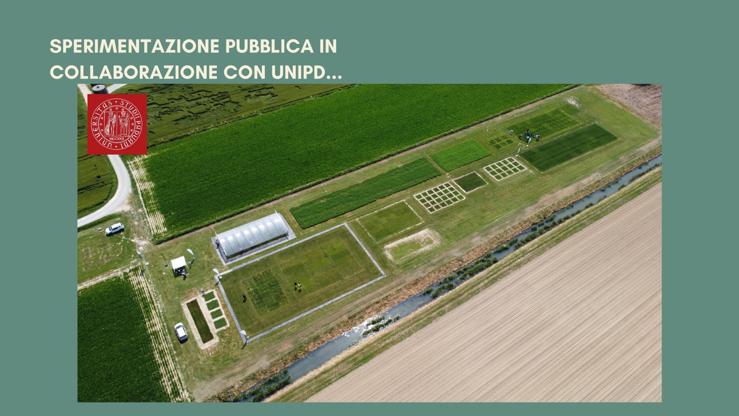 PADANA_SEMENTI_0010