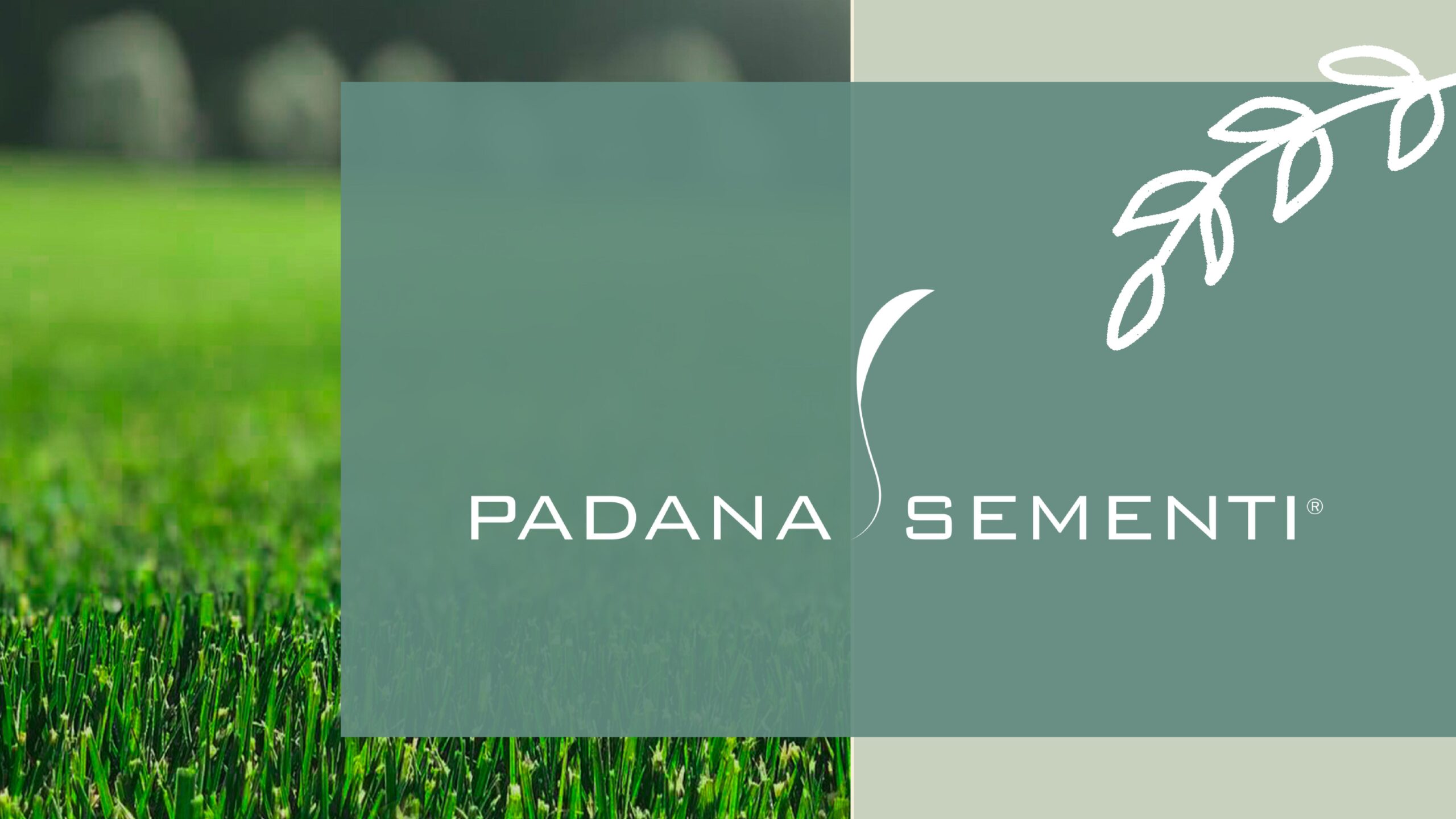 PADANA_SEMENTI_0017