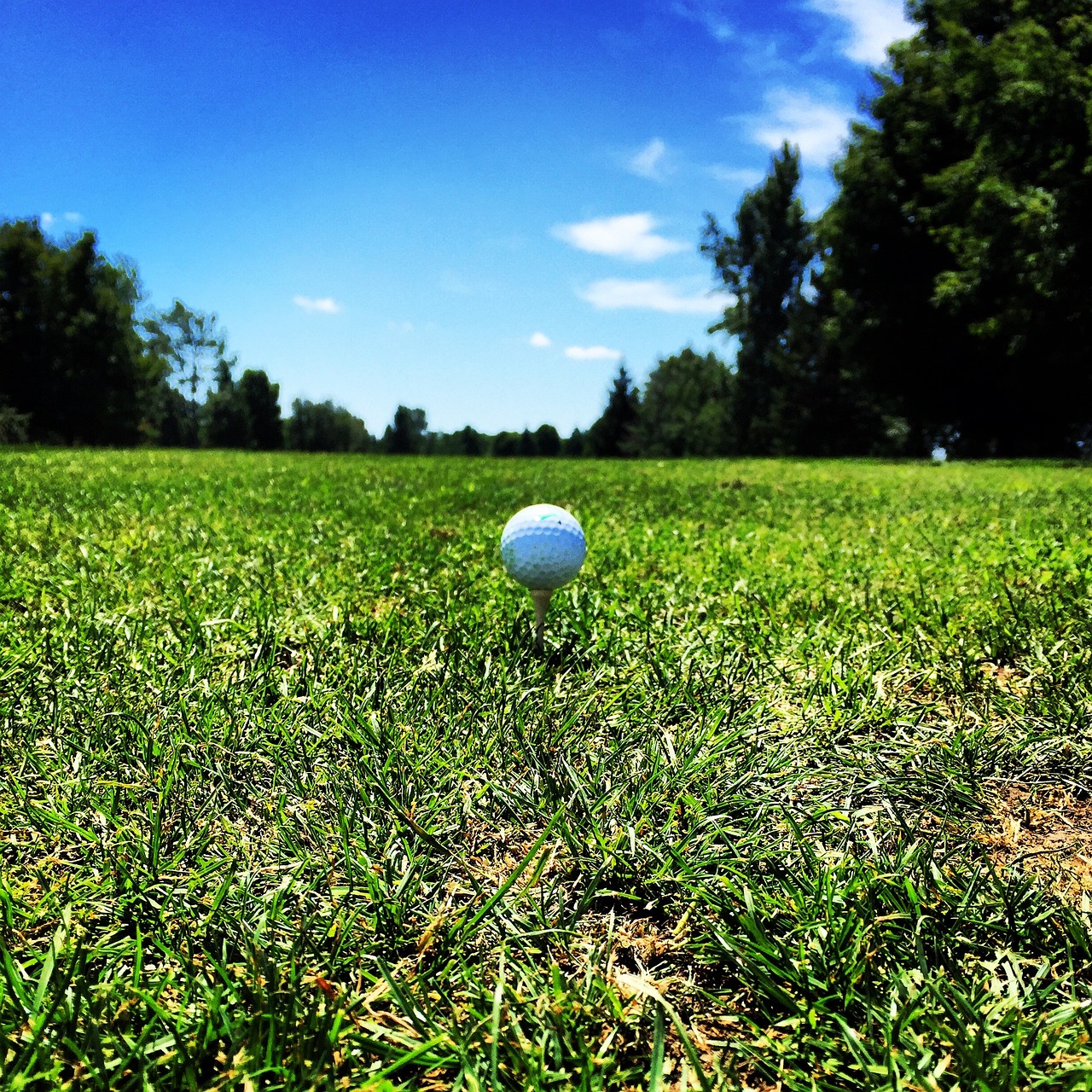 Игра мяч на траве. Мяч для гольфа. Common ground мяч для гольфа. Зеленый мяч для гольфа. Гольф мячик и трава.
